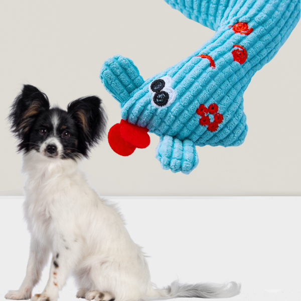 Dog looking at soft plush dog toy for anxiety and play relief
