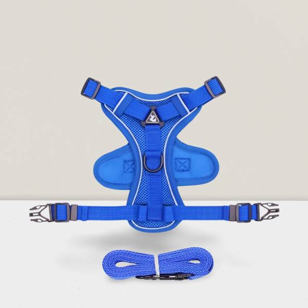 Blue mesh dog harness set for French Bulldogs and puppies