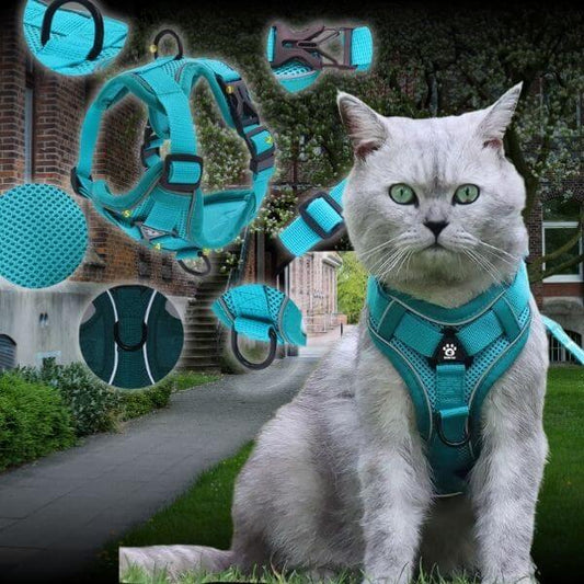 Grey cat outside wearing Pawi reflective harness – Pet Store ED