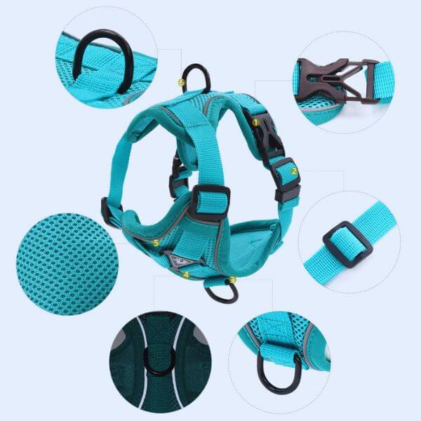 Escape-proof pet harness build and safety feature highlights