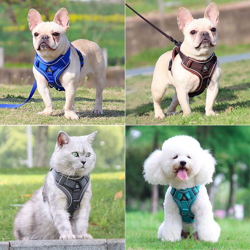 Escape-proof, breathable harness in real-life pet use
