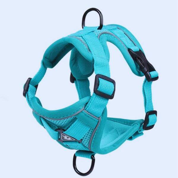Top view of turquoise Pawi adjustable dog harness with dual D-rings