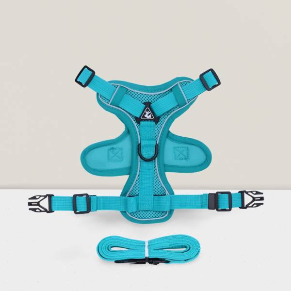 Turquoise adjustable dog harness with leash – Pawi by Pet Store ED
