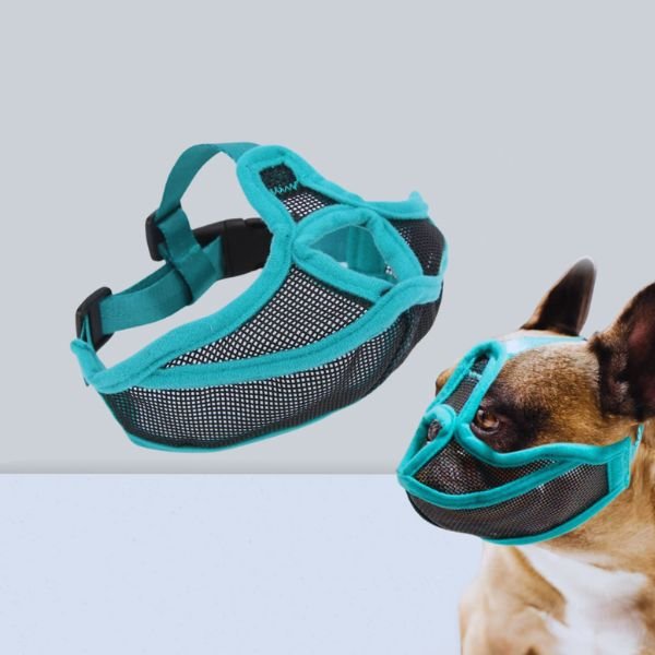 Best Muzzle for Short Snout Dogs – Frenchies & Pugs