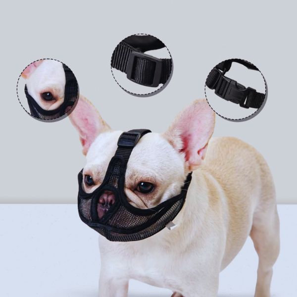 French Bulldog muzzle details for safe and adjustable fit – Pet Store ED