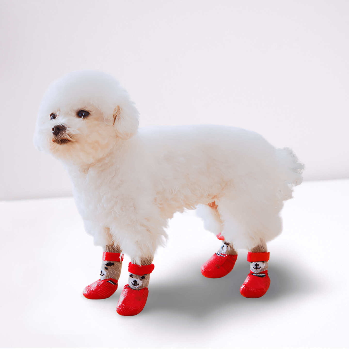 Tired of Cleaning Your Dog’s Wet & Dirty Paws? Try This! - Pet Store ED