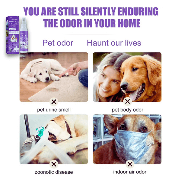 Pet Store ED calming spray solution for odor and hygiene relief