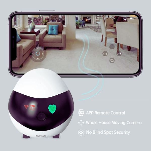 Remote control wireless pet monitor with mobile app