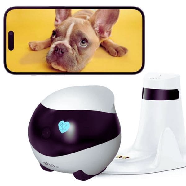 Wireless pet monitor for dogs and cats with live feed