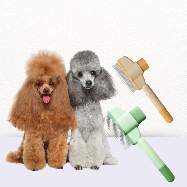Pet Store ED FurFresh brush perfect for fluffy coats and poodle knots