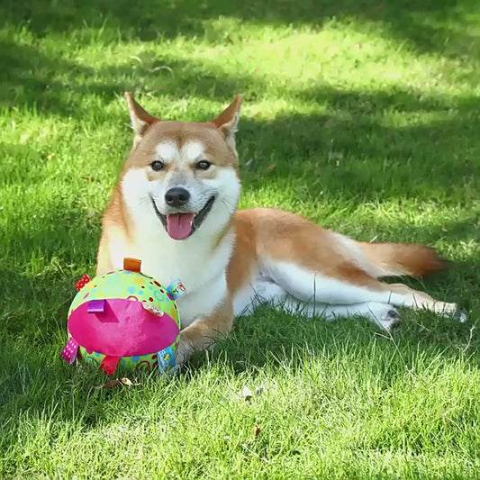 ChimeChew plush sound ball in action, showing its interactive play features for dogs – Pet Store ED.