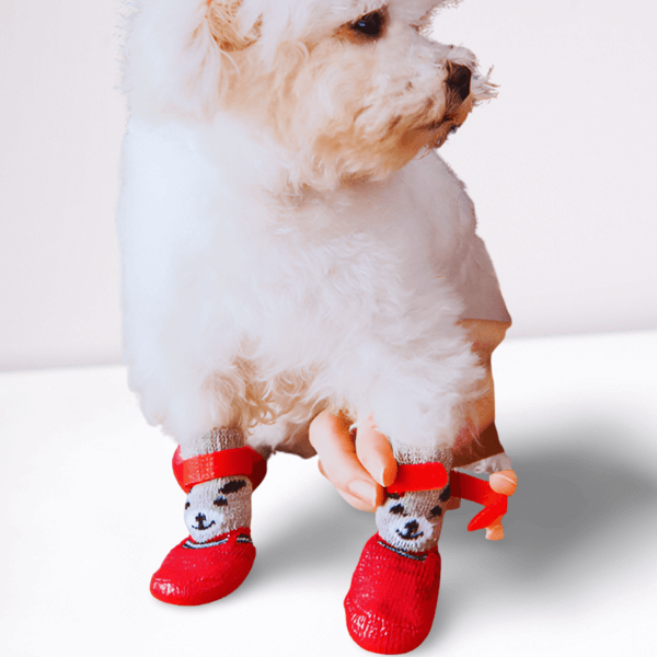 Tired of Cleaning Your Dog’s Wet & Dirty Paws? Try This! - Pet Store ED