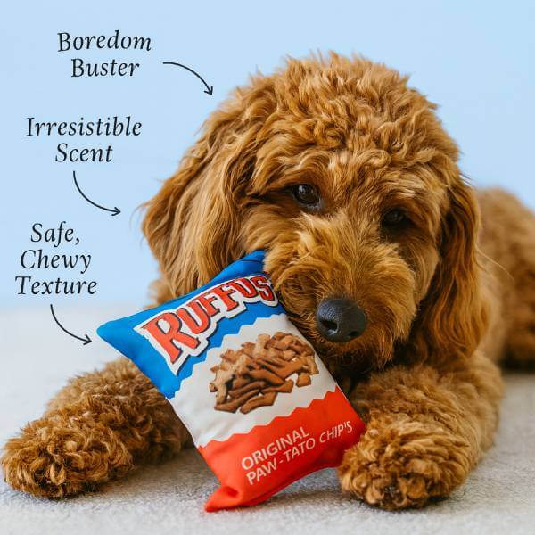 Ruffus plush dog dental toy designed to keep dogs entertained safely