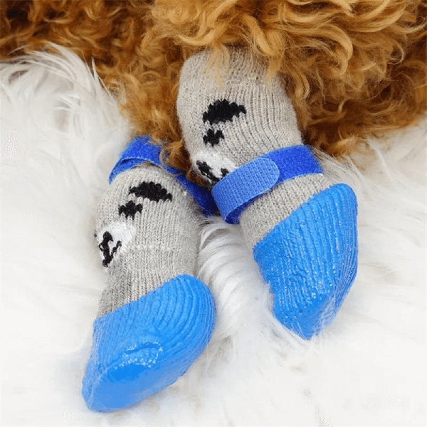 Tired of Cleaning Your Dog’s Wet & Dirty Paws? Try This! - Pet Store ED