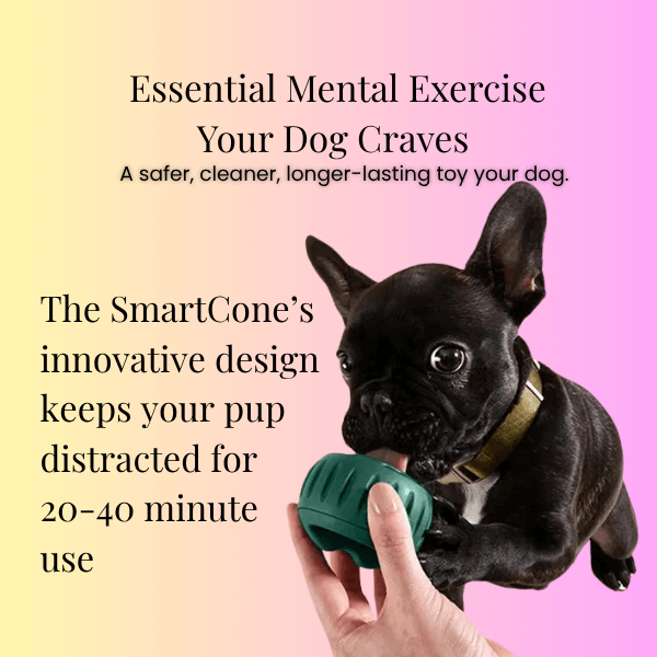 Safe rubber toy keeping dog entertained for 20–40 minutes