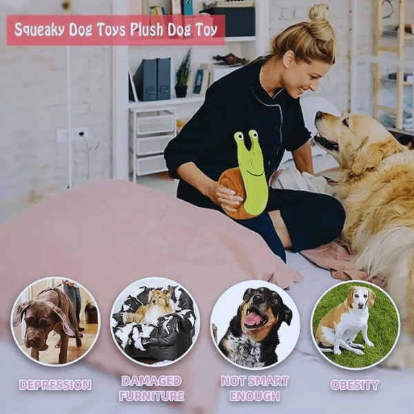 Dog owner using a SnugBug toy to engage their pet indoors