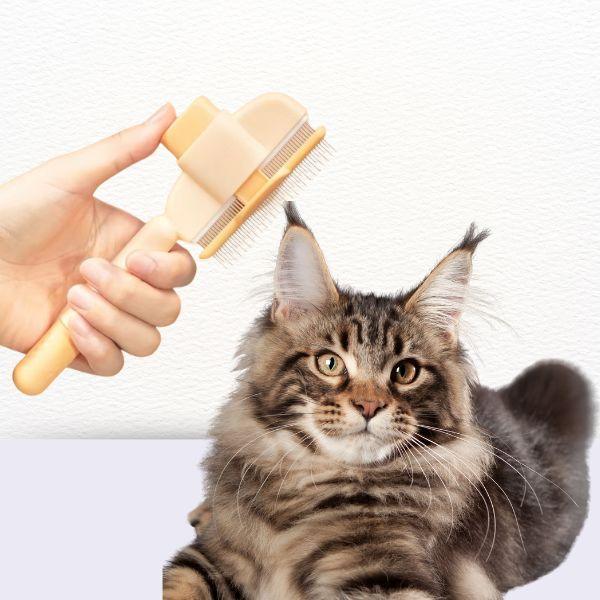 Detangling grooming combs for pets available in two colors