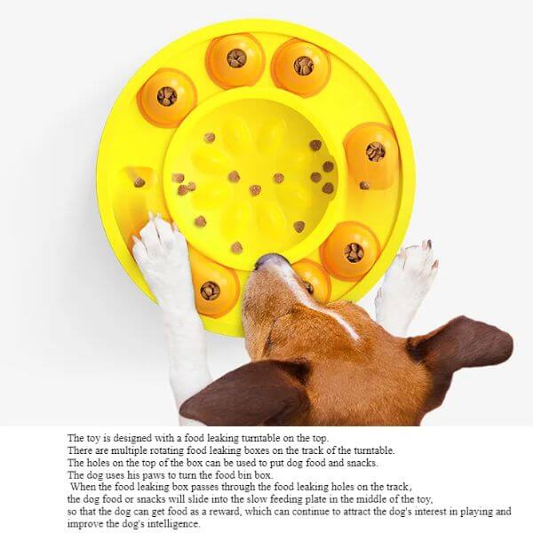 Turn Chaos into Calm – BrainWave Puzzle Feeder Bowl