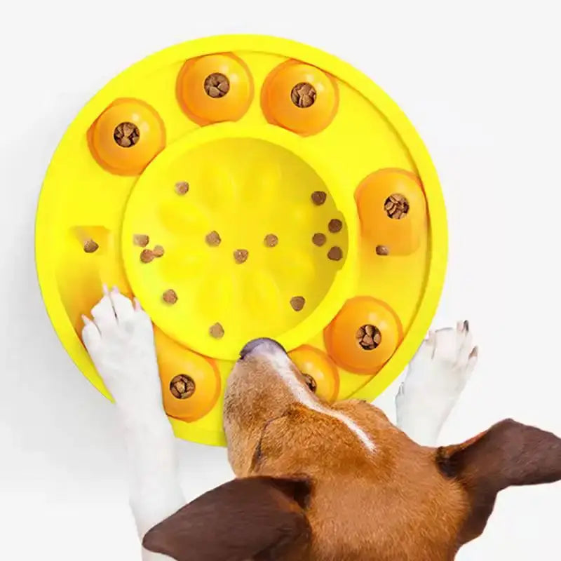 Jack Russell retrieving kibble from interactive dish