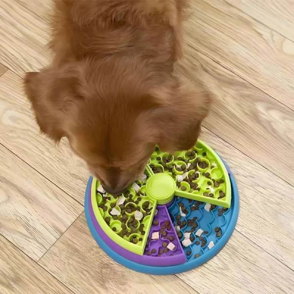Top view of dog interacting with food toy