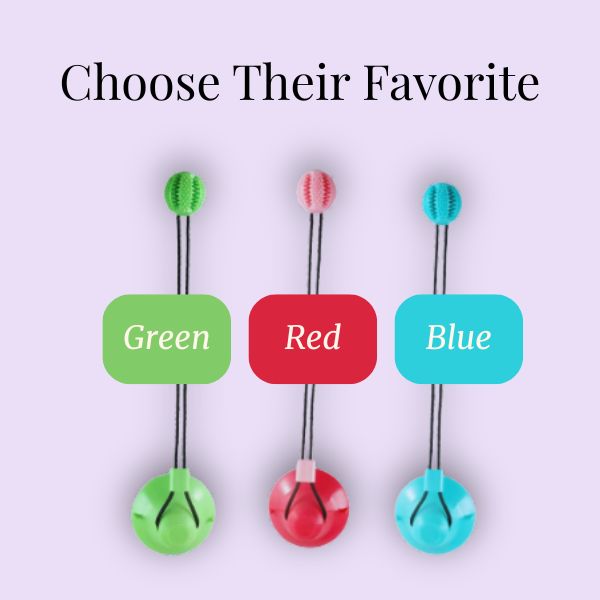 Dog chew toy suction cup available in vibrant colors for playful pets.