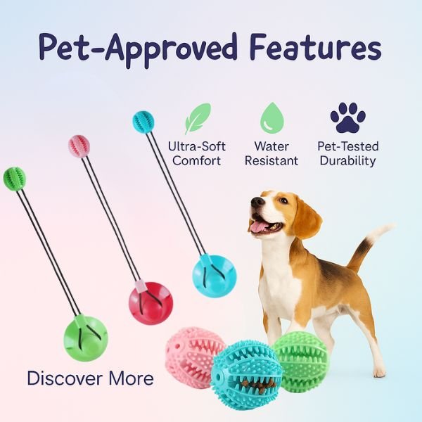 Aggressive Chewer? Get the Best Dog Chew Toy Suction Cup! - Pet Store ED