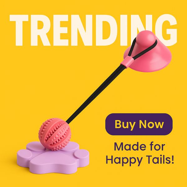 Pet Store ED dog toy to relieve boredom with strong suction.