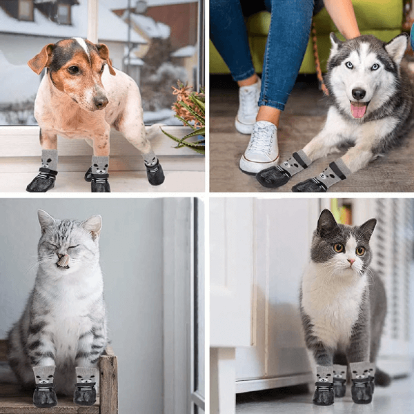 Tired of Cleaning Your Dog’s Wet & Dirty Paws? Try This! - Pet Store ED