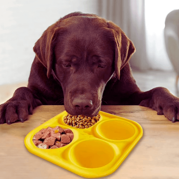Labrador eating from yellow slow-feeding plate