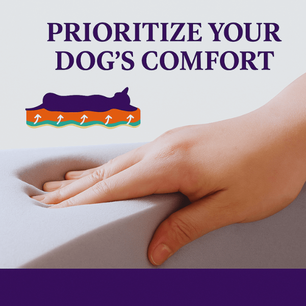 Prioritize your dog’s comfort with Zlee orthopedic support surface shown.