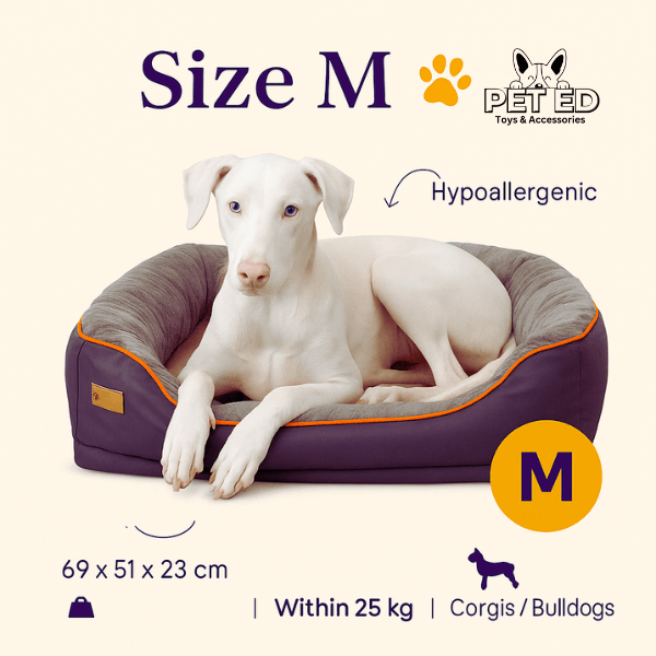 : Medium washable memory foam dog bed for dogs up to 25kg, featuring soft plush.