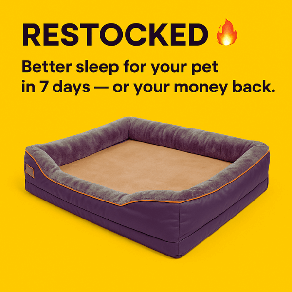 Better sleep for your dog in 7 days with Pet Store ED’s premium dog bed.
