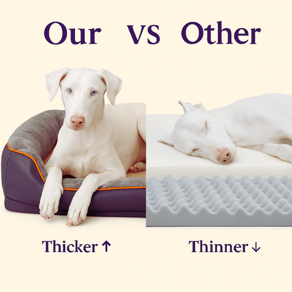 Pet Store ED Zlee bed vs generic bed – premium support vs weak foam padding.