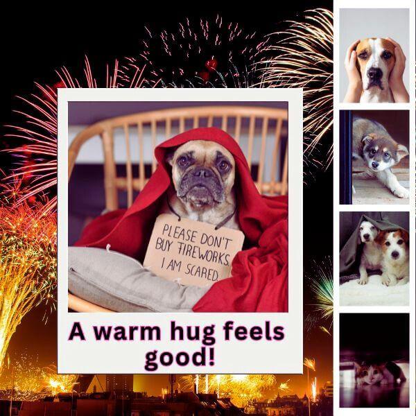 Dog wrapped in red blanket holding sign about fireworks fear, fireworks background, pets comfort