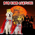 He Hates Clothes, But Loved This Dog King Costume – No Joke! - Pet Store ED