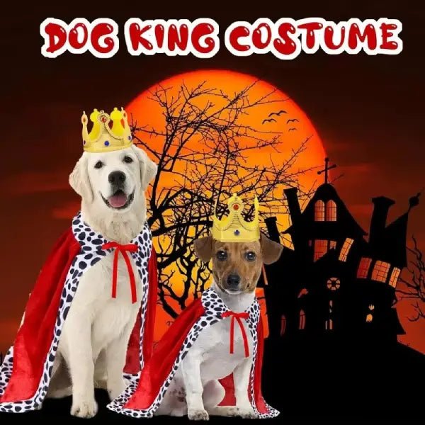 He Hates Clothes, But Loved This Dog King Costume – No Joke! - Pet Store ED