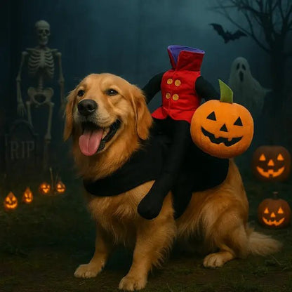 My Dog Deserves the Cutest Halloween Costume Ever! 🎃🐶 - Pet Store ED