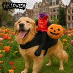 My Dog Deserves the Cutest Halloween Costume Ever! 🎃🐶 - Pet Store ED