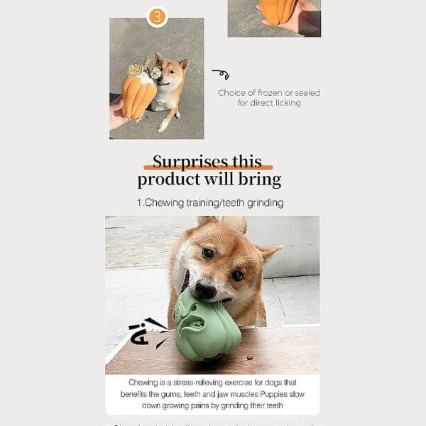 My Dog Eats Too Fast and I Was Scared Every Mealtime - Pet Store ED
