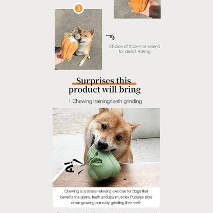 My Dog Eats Too Fast and I Was Scared Every Mealtime - Pet Store ED