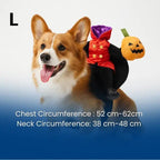 My Dog Deserves the Cutest Halloween Costume Ever! 🎃🐶 - Pet Store ED