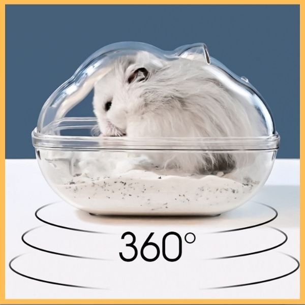 Hamster in transparent 360-degree sand bath enclosure on white surface with blue background.