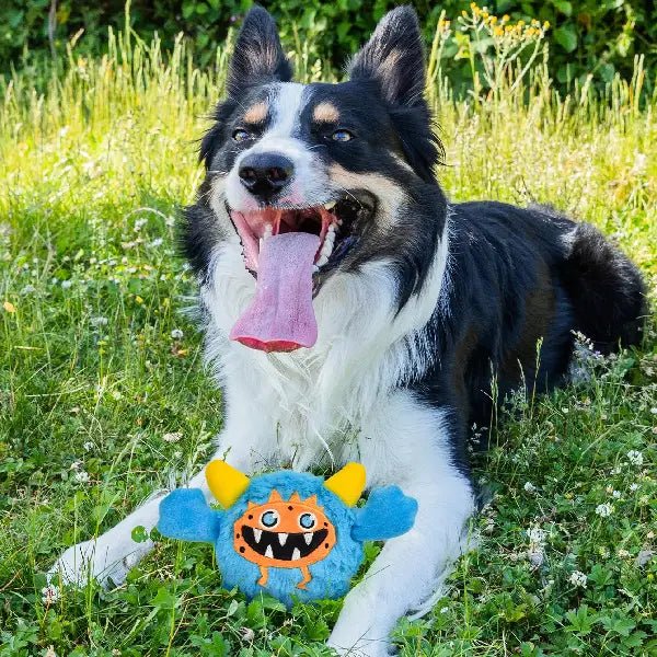 Dog Mom Approved: Soft, Squeaky & Safe Toy for My Fur Baby - Pet Store ED