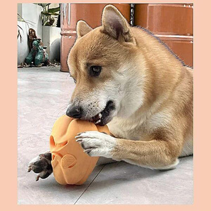 My Dog Eats Too Fast and I Was Scared Every Mealtime - Pet Store ED