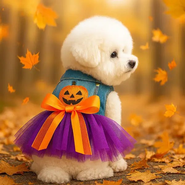 PumpkinPaw Dress Turns Any Pet into a Halloween Star! - Pet Store ED