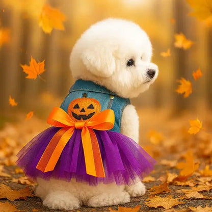 PumpkinPaw Dress Turns Any Pet into a Halloween Star! - Pet Store ED