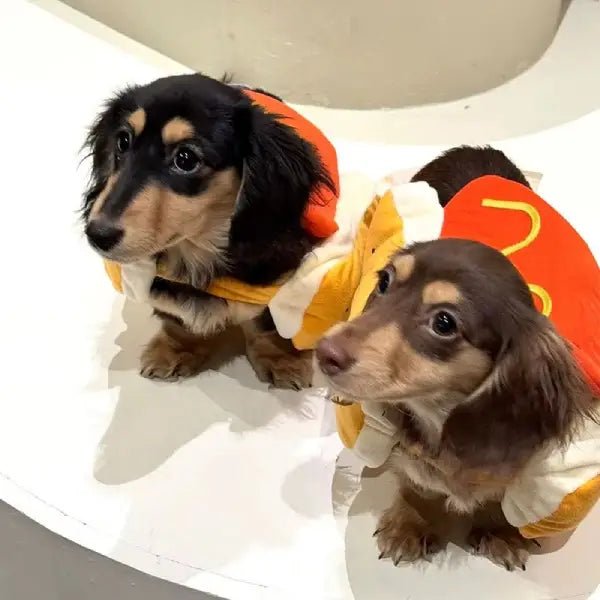 Comfy, Cute & Funny – The Only Costume My Pup Loves - Pet Store ED