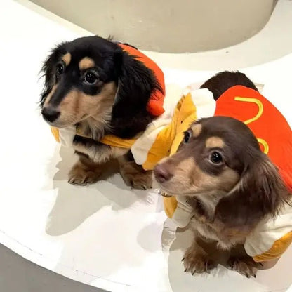 Comfy, Cute & Funny – The Only Costume My Pup Loves - Pet Store ED