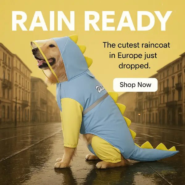 Keep My Big Baby Dry with This Full Body Dino Dog Raincoat | Blue - Pet Store ED