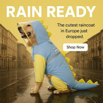 Keep My Big Baby Dry with This Full Body Dino Dog Raincoat | Blue - Pet Store ED